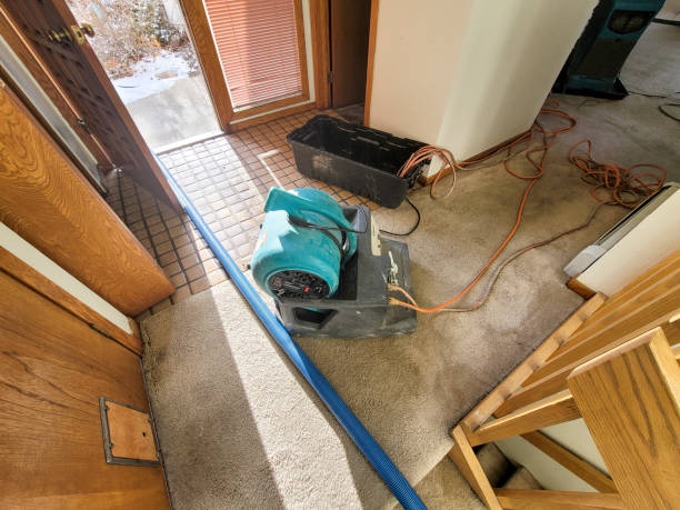 Trusted Mount Ayr, IA Water damage restoration Experts